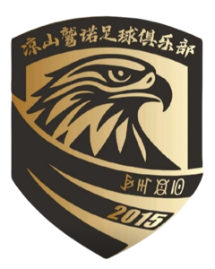 貴州飛鷹