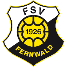 沃爾夫根FSV